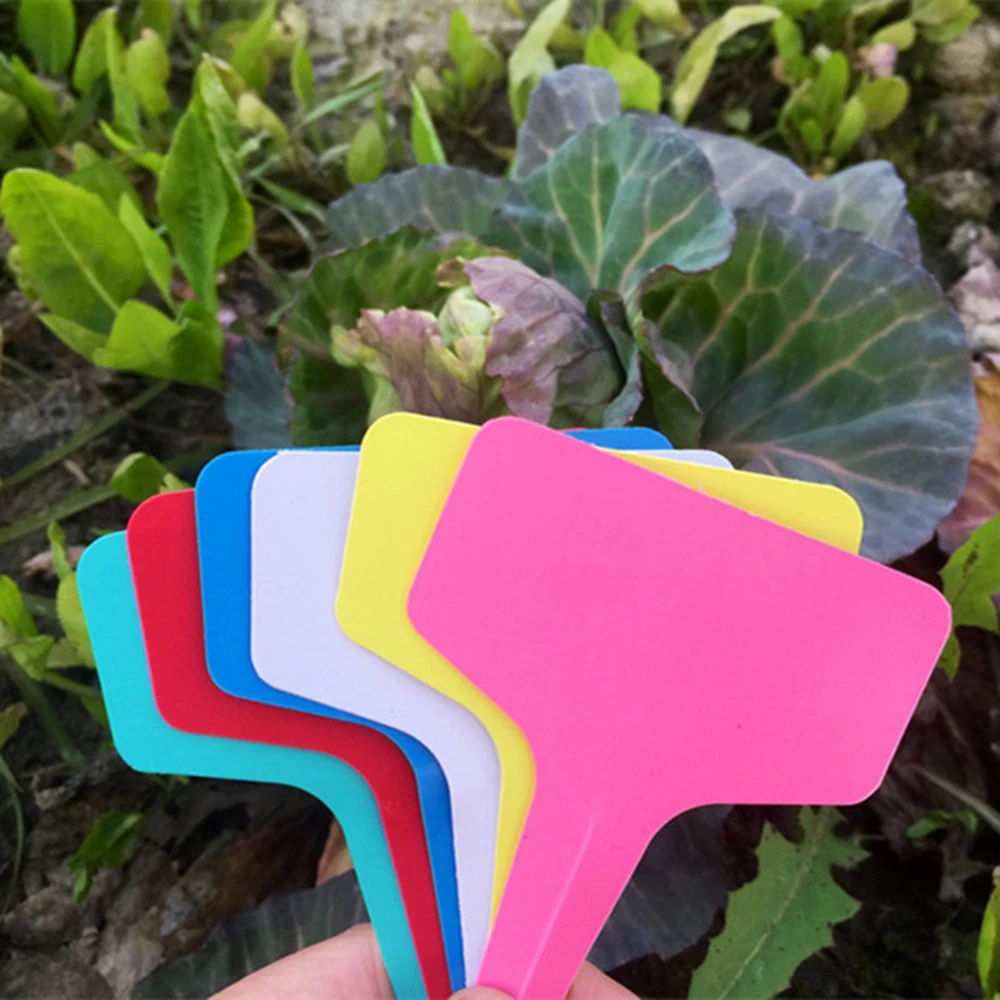 60pcs Mixed Color PVC Plant T-type Tags Markers Nursery Garden Labels Seedling Tray Pots Signs Multi-color Garden Decoration