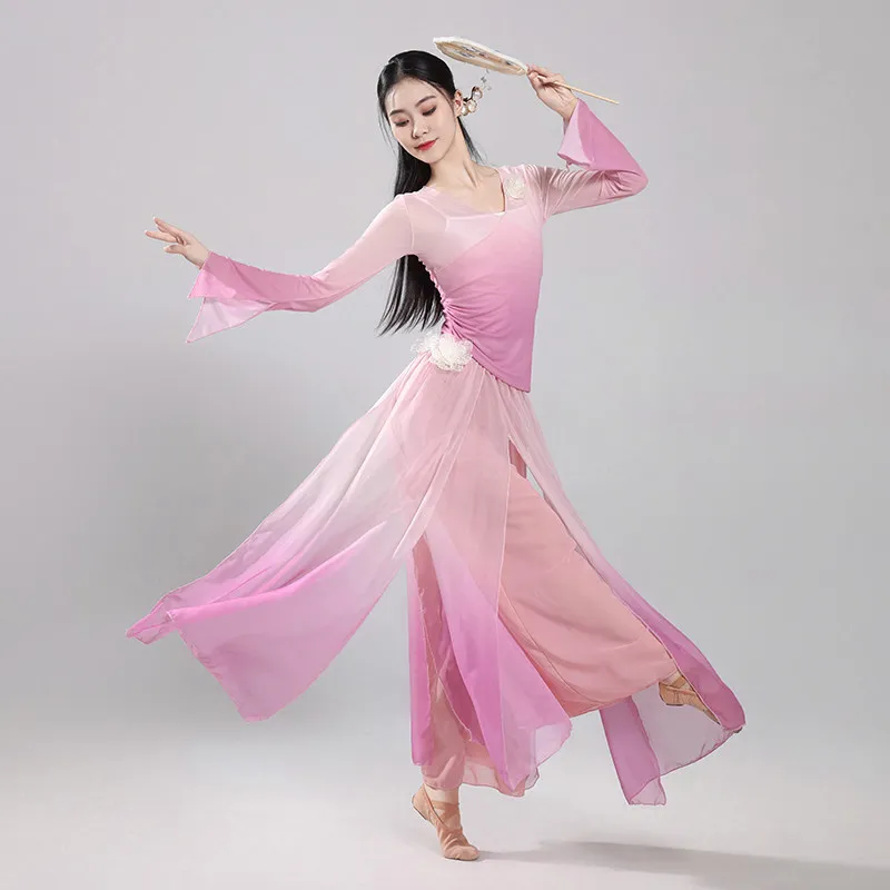 Traditional Folk Dance Costume Women Chinese Chiffon Folk Dancewear Drum Dance Stage Performance Elegant Classical Outfit