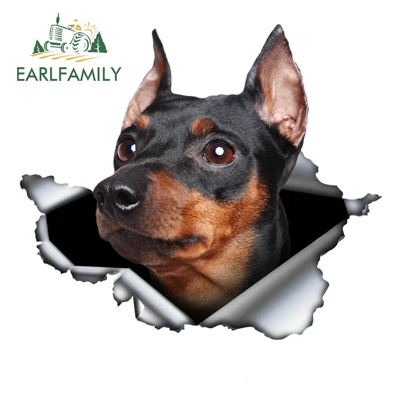 EARLFAMILY Miniature Pinscher Car Sticker 3D Torn Metal Original Design Vinyl Rear Windshield Trunk Custom Decal Pet Dog Graphic