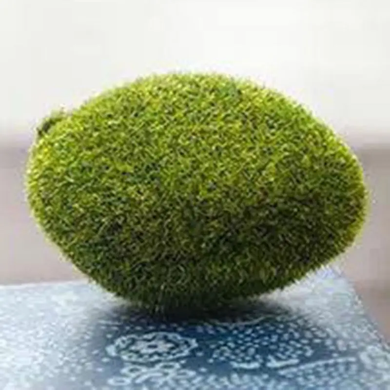 6Pcs Artificial Moss Rocks Simulated Moss Stone Creative Home Garden Lawn Floor Ornament Fake Stone Simulation Plant DIY Decor