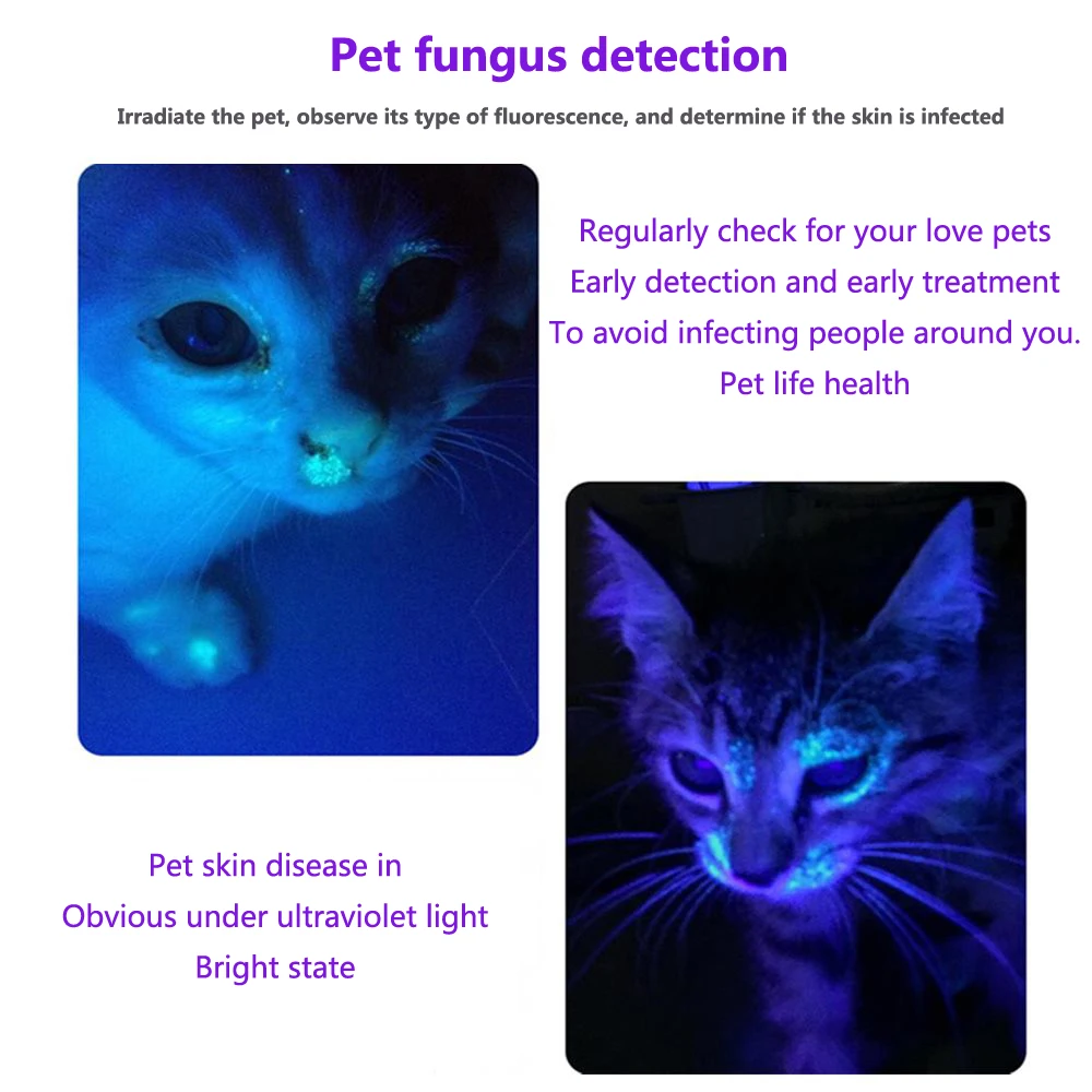 USB Charging Mini 365nm 395nm Blacklight UV Flashlight Ultraviolet Torch Cat Dog Urine Scorpion Ore Tinea Manicure Detector Lamp