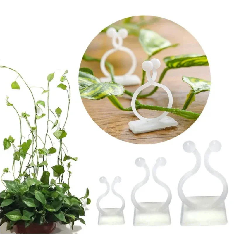 50pcs~10Pcs Plant Climbing Wall Fixture Clips Rattan Vine Fixer Self-Adhesive Hook Invisible Garden Binding Clip Wall StickyClip