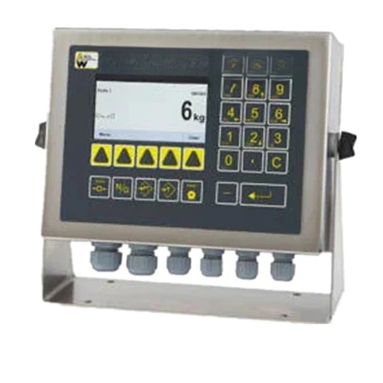 Remote monitoring system, weighing sensor amplifier, weighing indicator