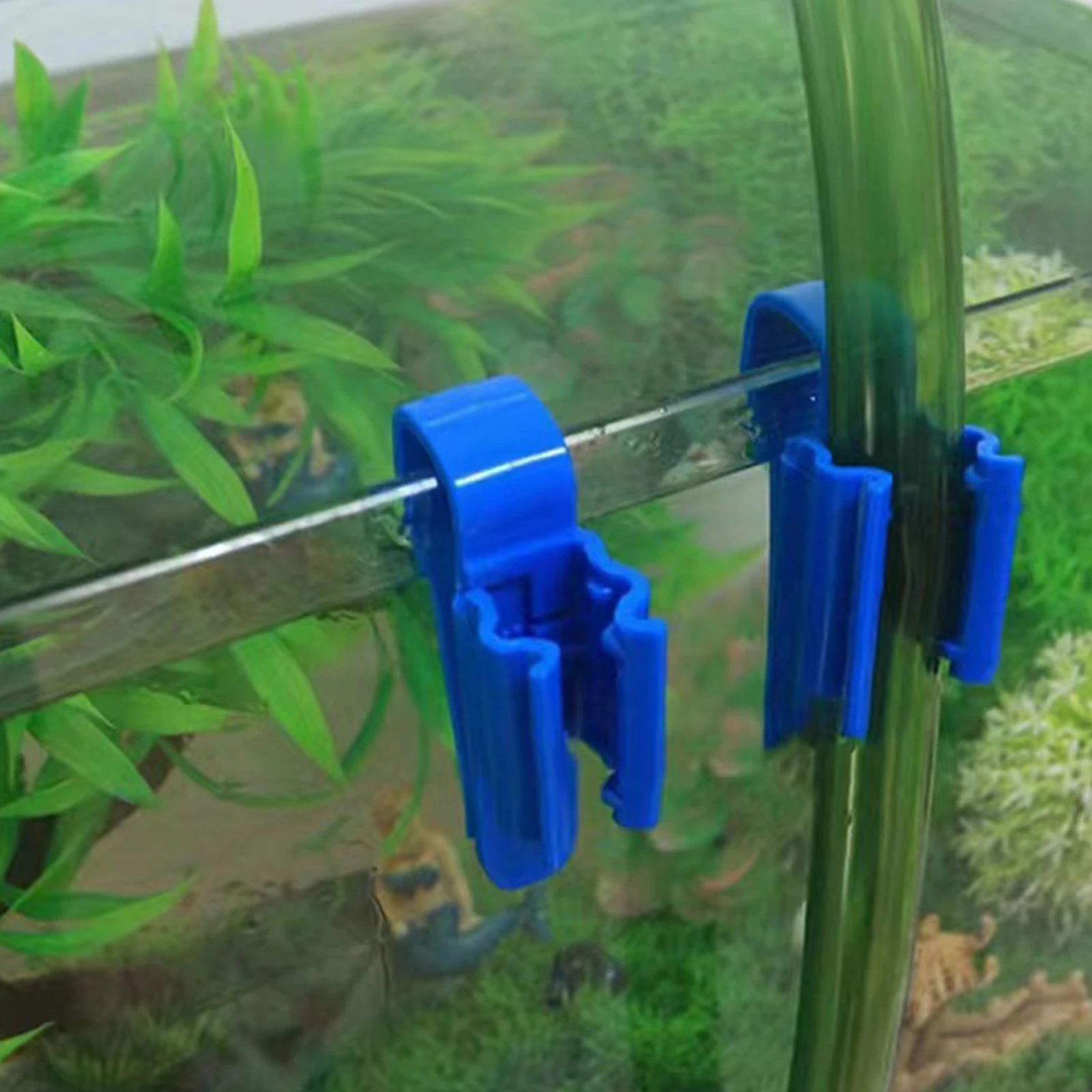 Aquarium Tube Holder Clip Fish - All Fish In Aquarium recension och pris