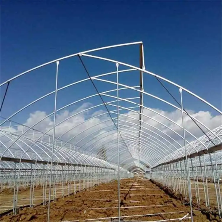 

Customized greenhouseMulti-Span Film Greenhouse with Hydroponic System for Vegetable Planting