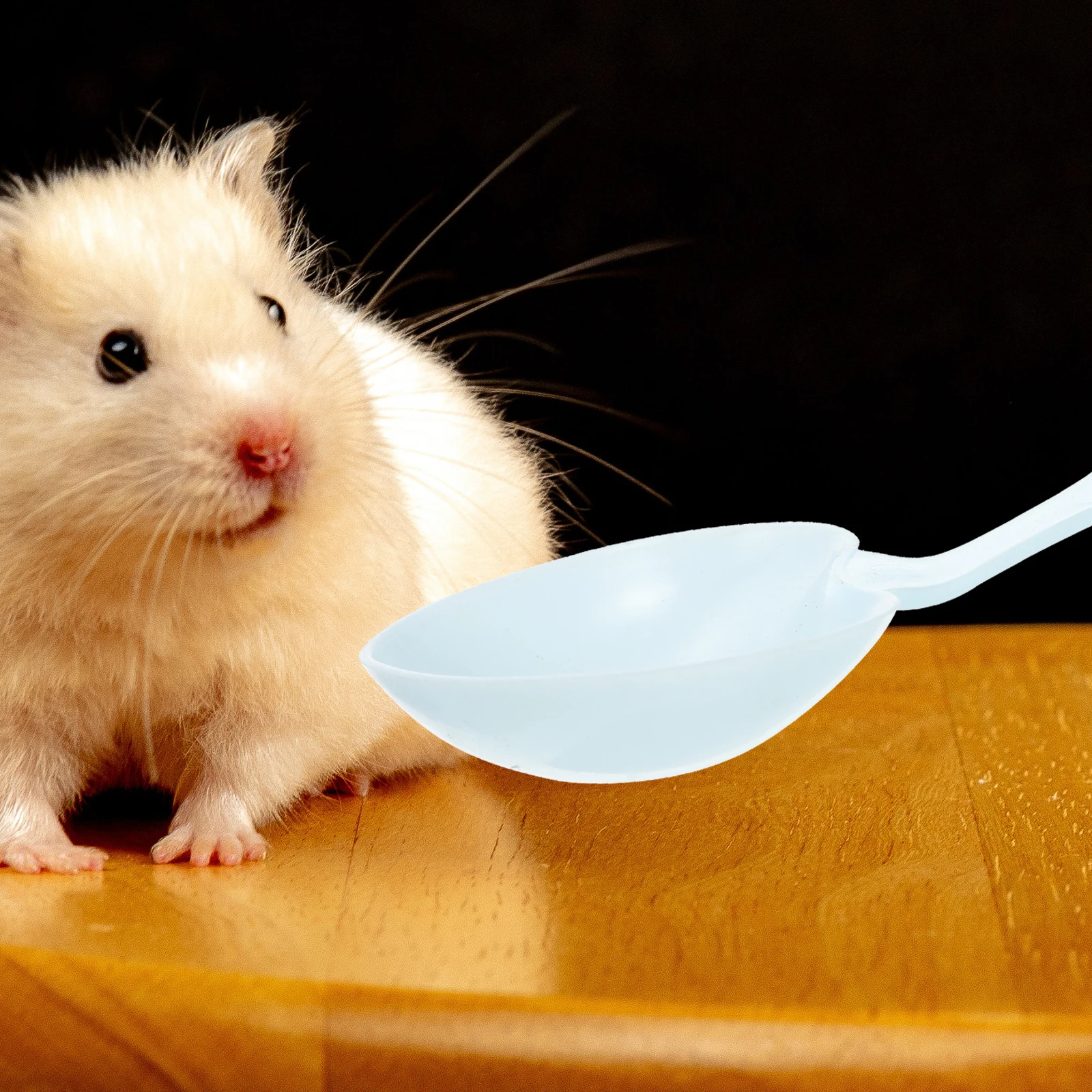 

10Pcs Pet Food Spoon Lovely Shape Design Easy to Clean Durable Material Small Animal Feeding Tool Scoop Pet Food Spoon