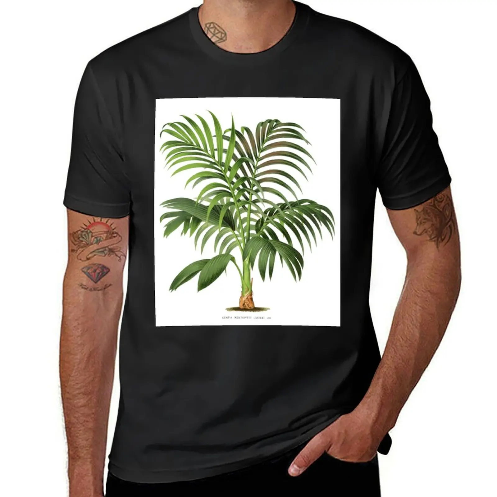 Kentia Palm - Luciani T-Shirt tees cute tops plain white t shirts men