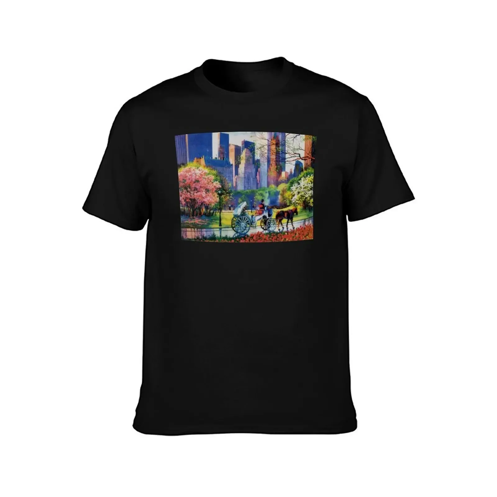 Central Park, Manhattan,New York, T-Shirt valentines clothes blacks custom t shirt Luxury man t shirt for men