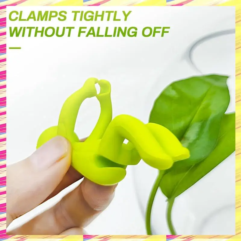 ABJJ Hydroponic Plant Growth Upright Support Desk Decoration Monstera Gardening Fixed Shape Anti-Lodging Leaf Bracket