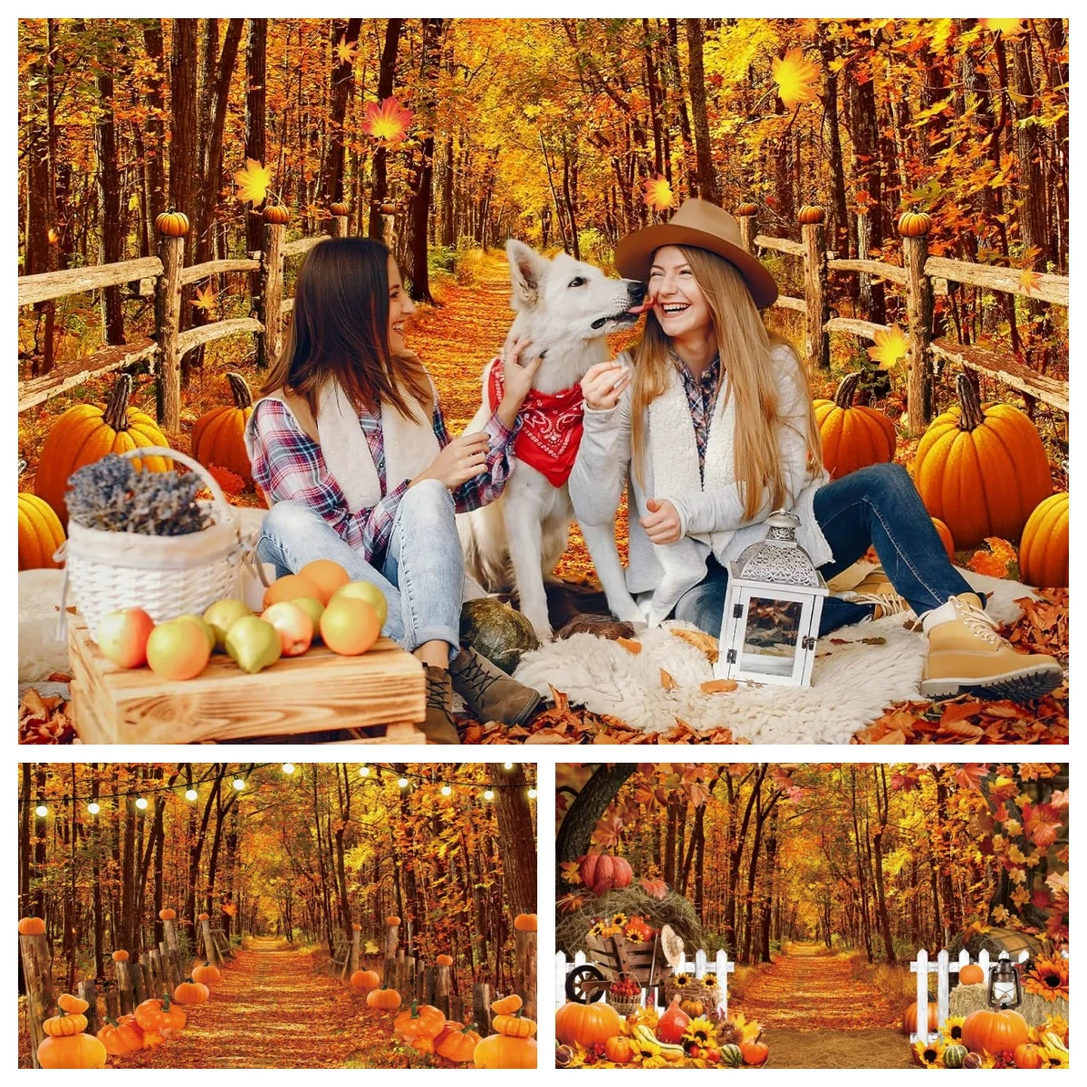 

Autumn Thanksgiving Holiday Photography Background Maple Leaf Forest Trail Harvest Pumpkin Family Party Photo Decor Backdrops