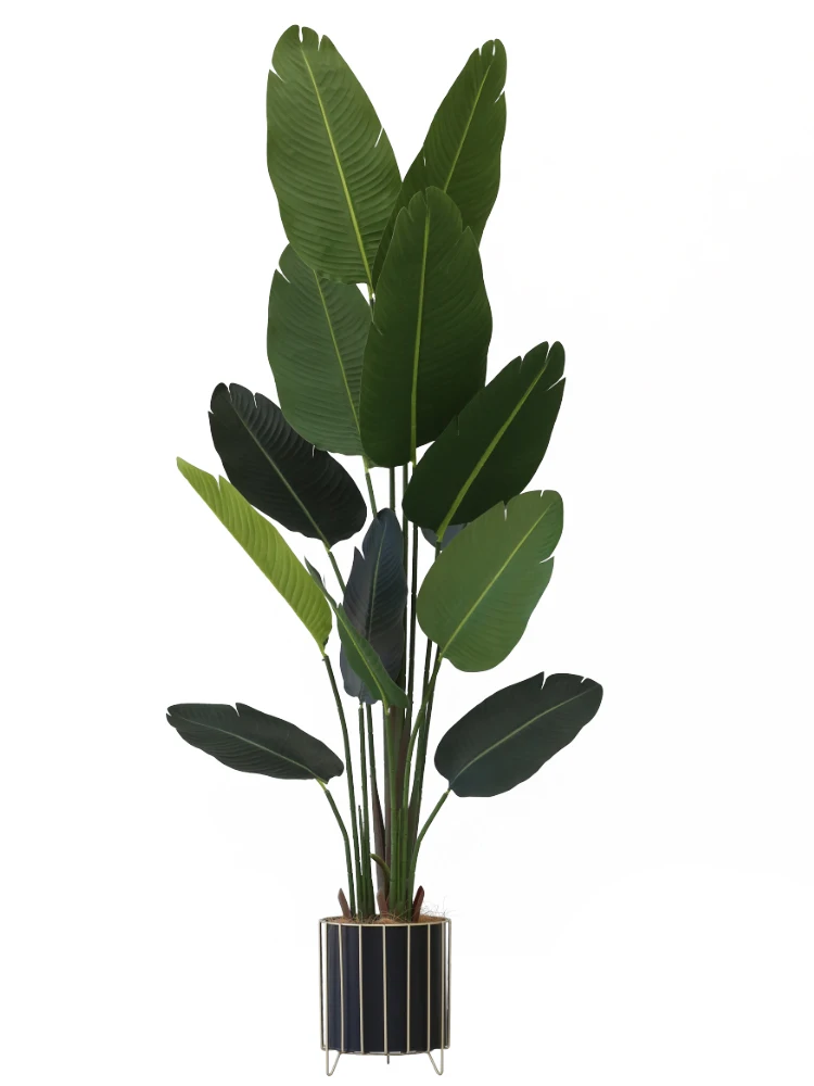 Simulation Green Plant Bird of Paradise Light Luxury Traveler Banana Floor Interior Decoration False Tree Decoration