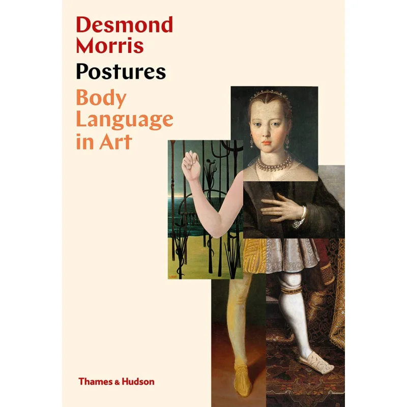 

POSTURES BODY LANGUAGE IN ART Thames Hudson Thames And Hudson Ltd 9780500022610 Book