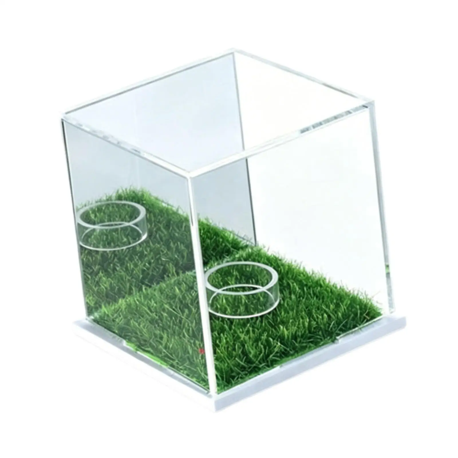 Elegant Baseball Display Case Clear Acrylic Storage Box Protection for Customized Baseball Accessories Home Decor