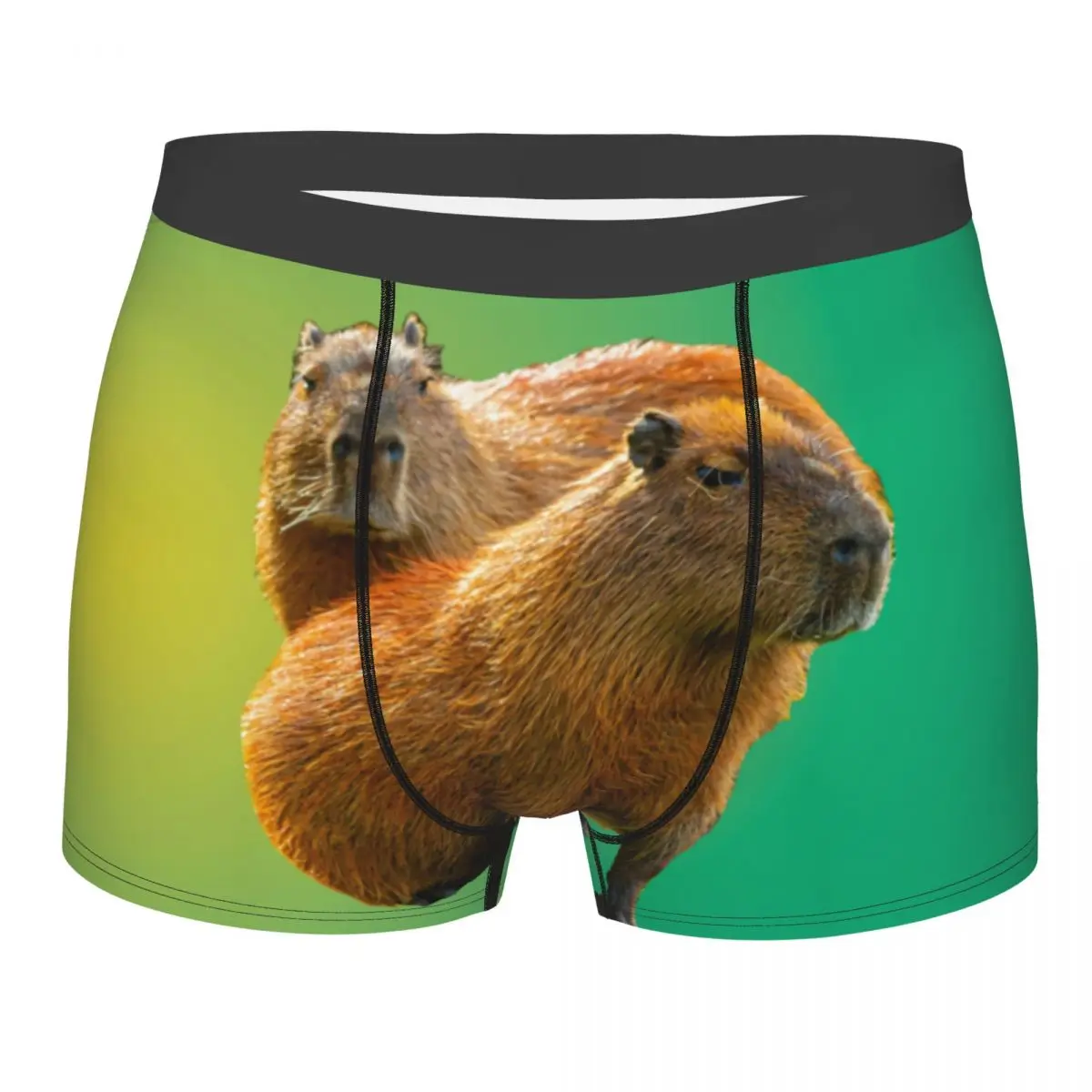 Custom Capybara Pair Print Underwear Men Printed Popular Animals Boxer Shorts Panties Briefs Breathable Underpants