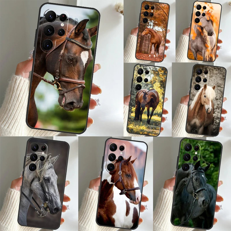 Animal Steed Horse Case For Samsung Galaxy S22 S23 Plus S21 S23 Ultra S20 FE S8 S9 S10 Note 10 20 Ultra Coque