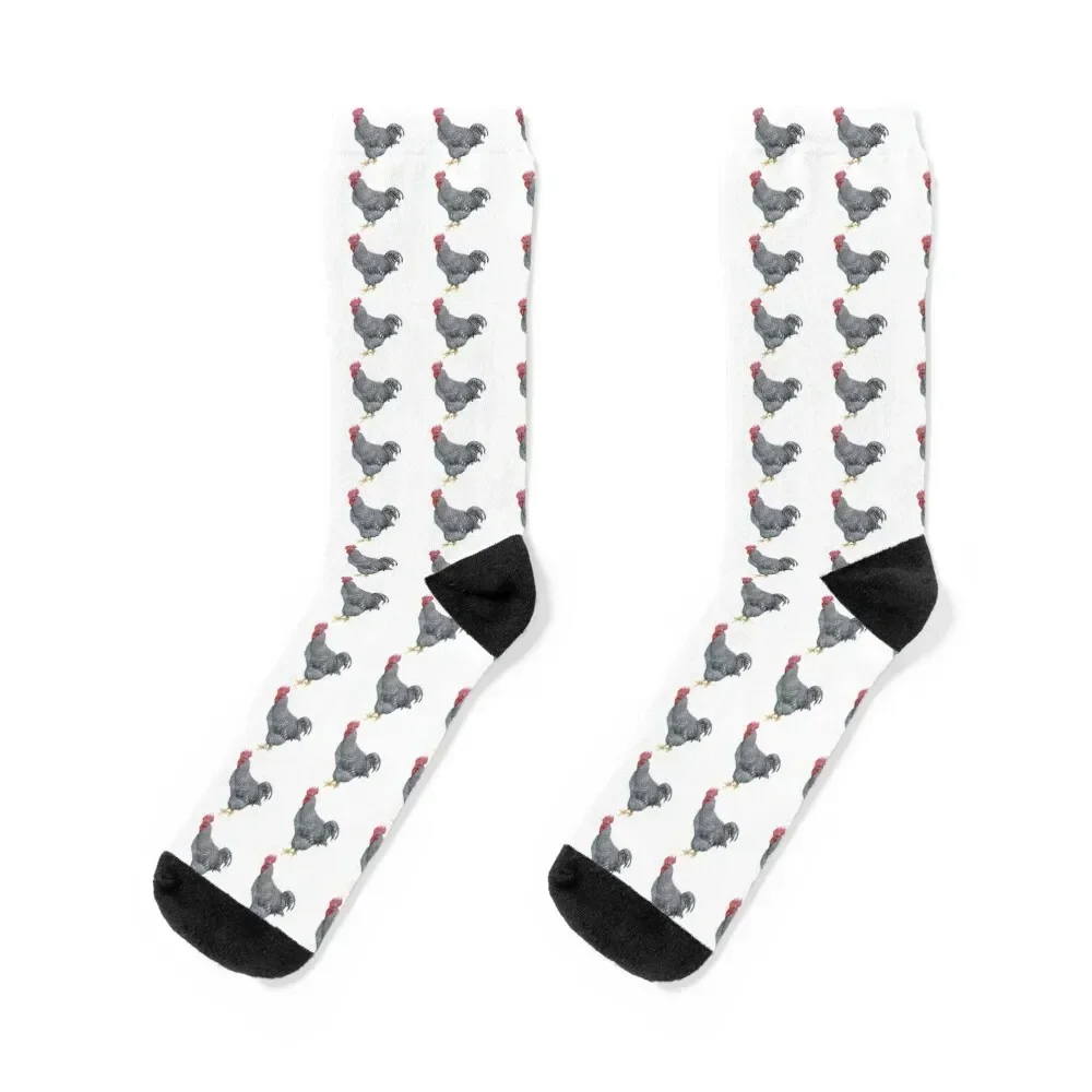 

Barred Rock Rooster Socks custom sports Lots floral funny gift Socks Man Women's