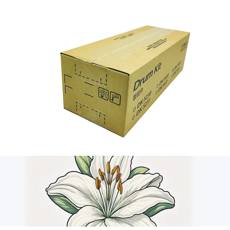 

Барабан DK5450/5451, совместимый с Kyocera ECOSYS PA2600Cx PA2600cWX PA2101cx PA2101cWX MA2600cfx MA2600 30C0D93020 30C0D93010