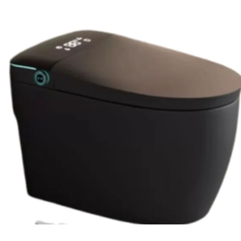 Aesthetic Multifunctional Smart Toilet Nordic Floor Bowl Cleaner Seat Cover Foam Toilet Japanese Sanitary Slimme Wc Furniture