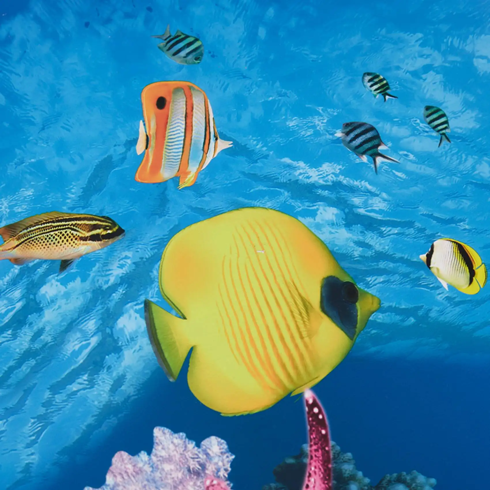 A77I аквариум фон бумага HD ка – обзор и цена Aquarium Fish Wallpaper Hd