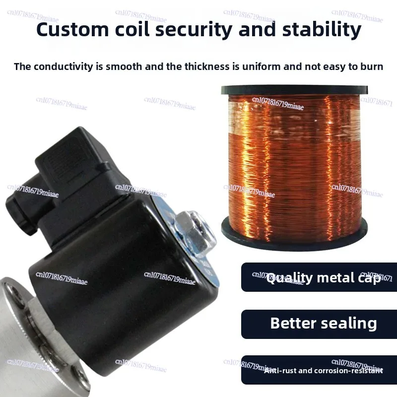 High Pressure Solenoid Valve 12v24v4mpa 6.3mpa10mpa Stainless Steel Piston Type