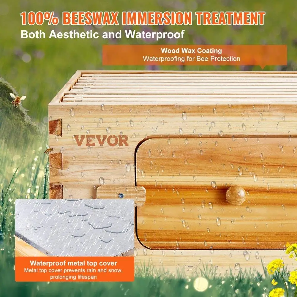 40 Frame Bee Hive Starter Kit - Beeswax-Coated Cedar, 2 Deep & 2 Medium Boxes, Langstroth Design, Acrylic Windows, Perfect for