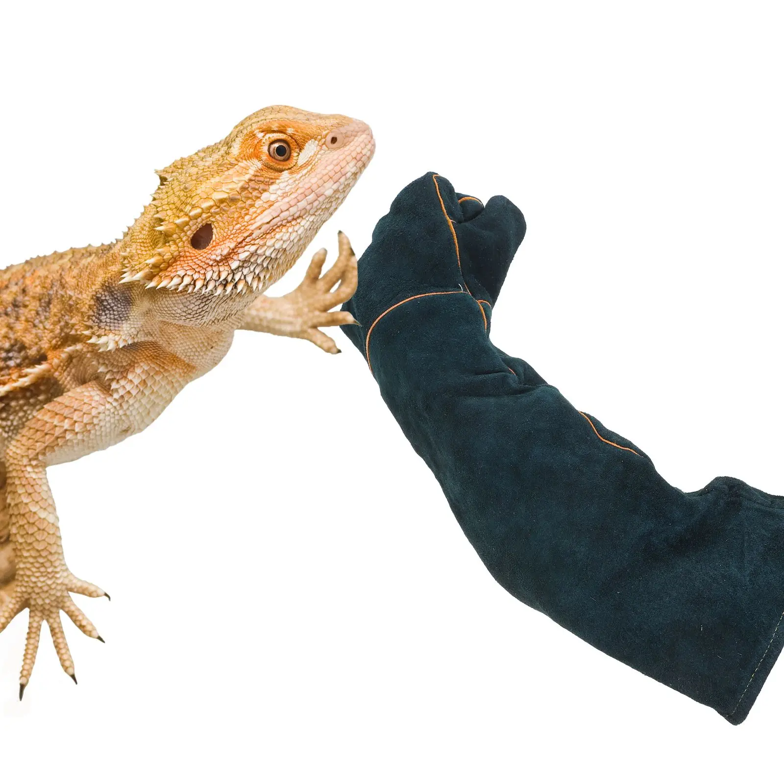 Gants Anti-morsure, fournitures d'alimentation pour animaux de compagnie, épaississement de sécurité en peau de vache, matériau Durable résistant aux rayures