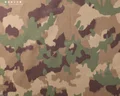 TAZ16