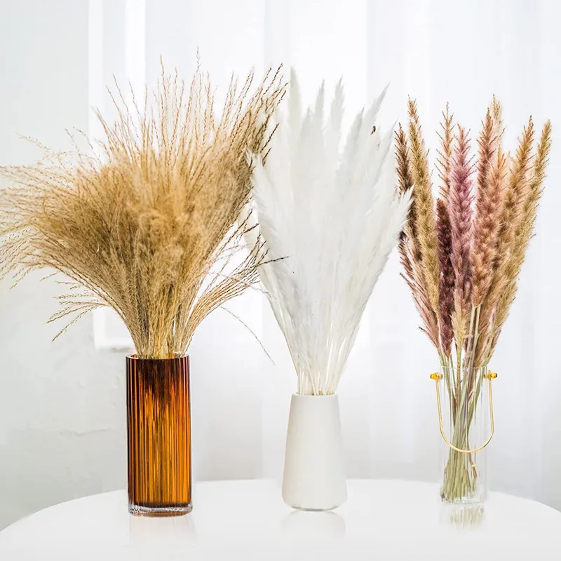 70Pcs Natural Pampas Grass Dried Flowers For Home And Room Decor Fluffy Soft Pampas For Birthday Decoration Bouquet for Wedding