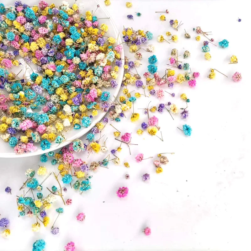 Real Dried Flowers Mixed Gypsophila Flower Head For DIY Art Craft Epoxy Resin Candle Making Jewelry Wedding Home Decoration