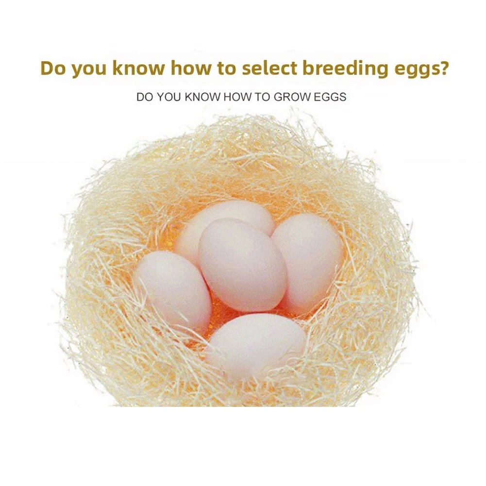 European Standard 7 Egg Incubator for Quail Pigeon Eggs Compact Size 16x16x16cm Digital Display Manual Turning