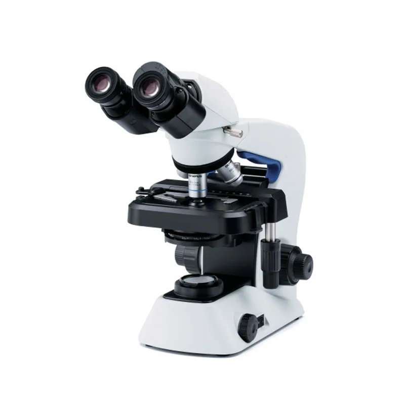 

Education Portable Laboratory Biological Microscope With LED And 30 Degree Inclined Binocular Tube