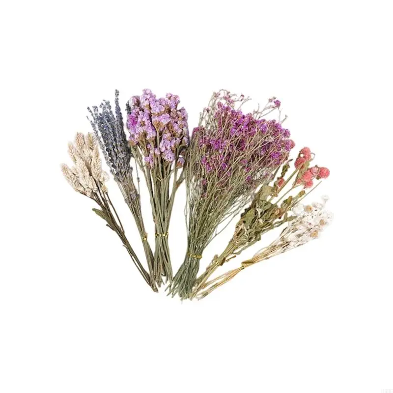 Natural Dried Flower Bedding for Hamster Cages Safe Decorative Floral Habitat Decors
