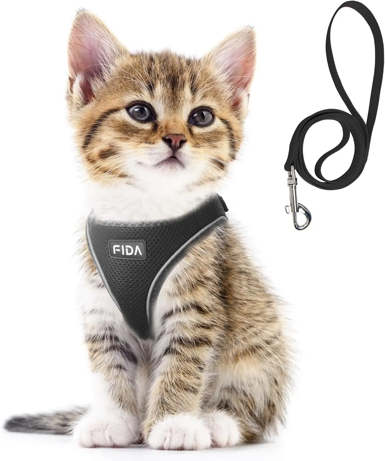 

Escape Proof Cat Harness & Leash Set, Soft Mesh Step-in for Kittens & Puppies, Adjustable Reflective (XXXS, Black)