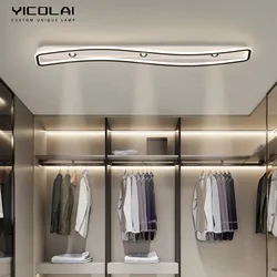 Modern Simple Corridor Light Aisle Light Strip Rectangular LED Ceiling Light For Bedroom Living Room Wardrobe Light Spotlights