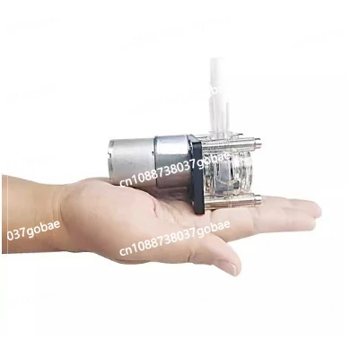 Large flow peristaltic pump Easy-to-install peristaltic pump 12V/24V metering vacuum pump 500mL/min Flat model