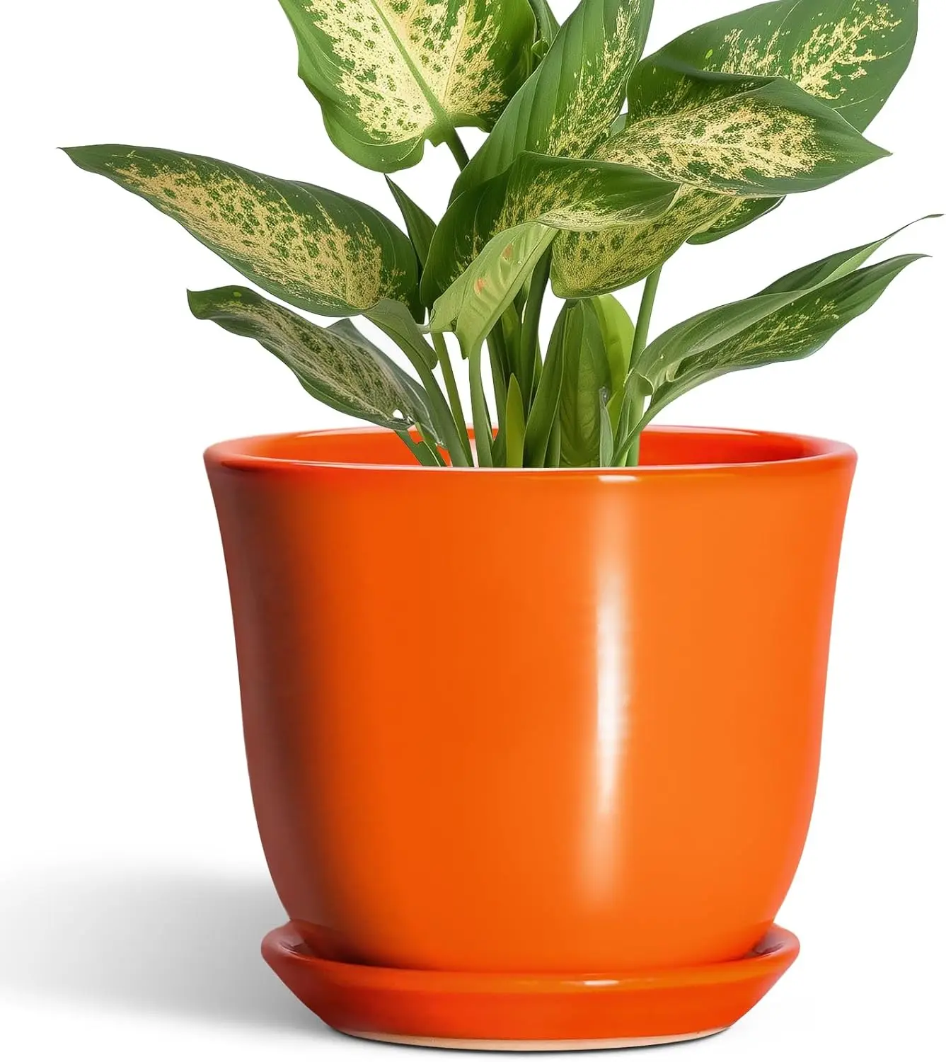 

5.6 Inch Plant Pot - Ceramic Pots for Plants Indoor Outdoor, Succulent Pot with Drainage Hole and Saucer, Round Modern F