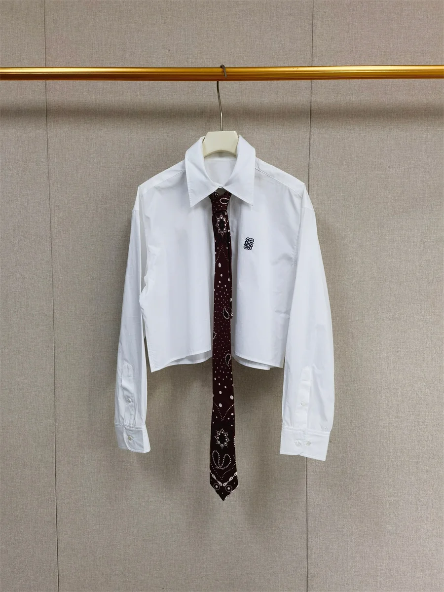 【هدية مجانية】قميص نسائي أبيض قصير فضفاض لخريف وشتاء 2025 نمط فرنسي متخصص طية صدر صغيرة مزدوجة S بلوزة عصرية مطرزة #2