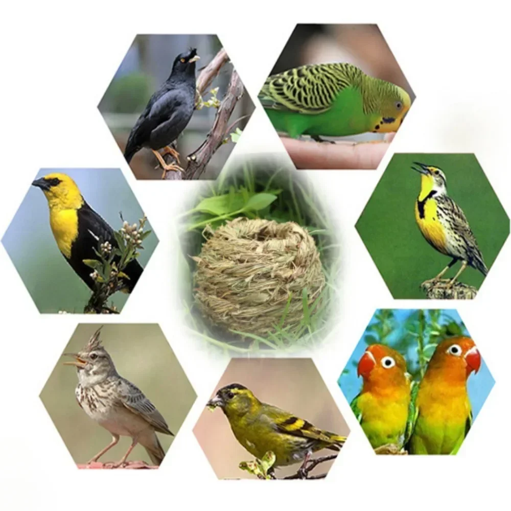 بيت الطيور الببغاء كروية بيت الحيوانات الأليفة مع عش الطيور الحبل للعصفور النمر الفاوانيا اللؤلؤ كوكاتيل اليدوية النسيج عش الطيور