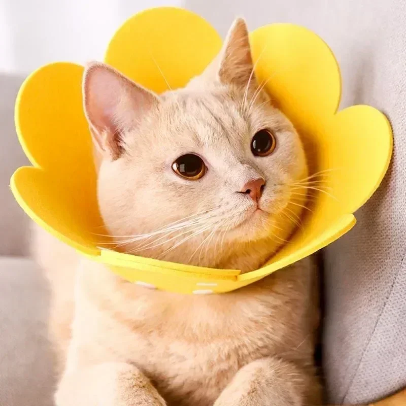 Collar de recuperación duradero con forma de flor para gatos, collares de cono protectores para curación de heridas ajustables para gatos, gatitos, perros pequeños