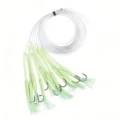 Luminous-10pcs