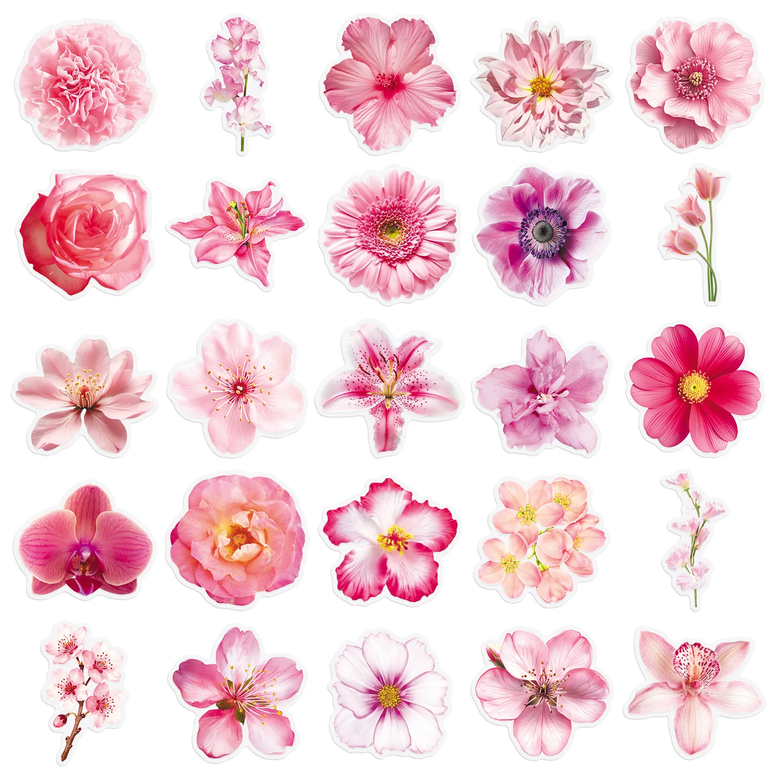 50PCS Transparent Style Pink Flower Stickers Realistic Plant Graffiti DIY Decoration Notebook iPad Waterproof Stickers Kids Toy