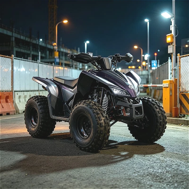 Adult Dune Buggy 450cc 4x4 Off Road Go Kart Roll Cage Winch for Desert Sand Riding Customized High Efficiency High Quality