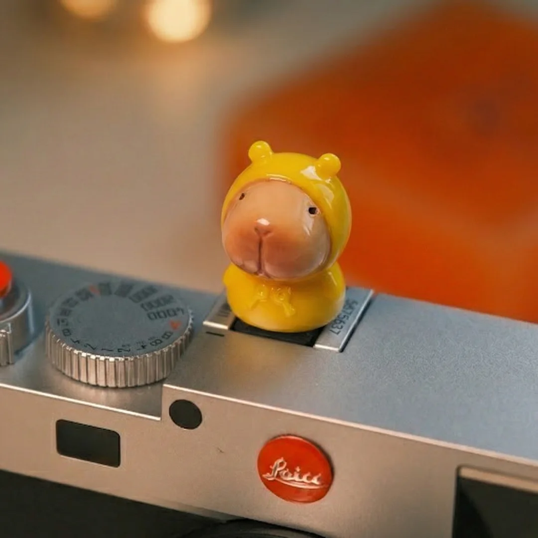 Cute Capybara Camera Hot Shoe Cover Universal Dust Cap for DSLR Mirrorless. Kawaii Animal Decor for Fuji Sony Leica Canon Nikon