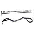 Black leash