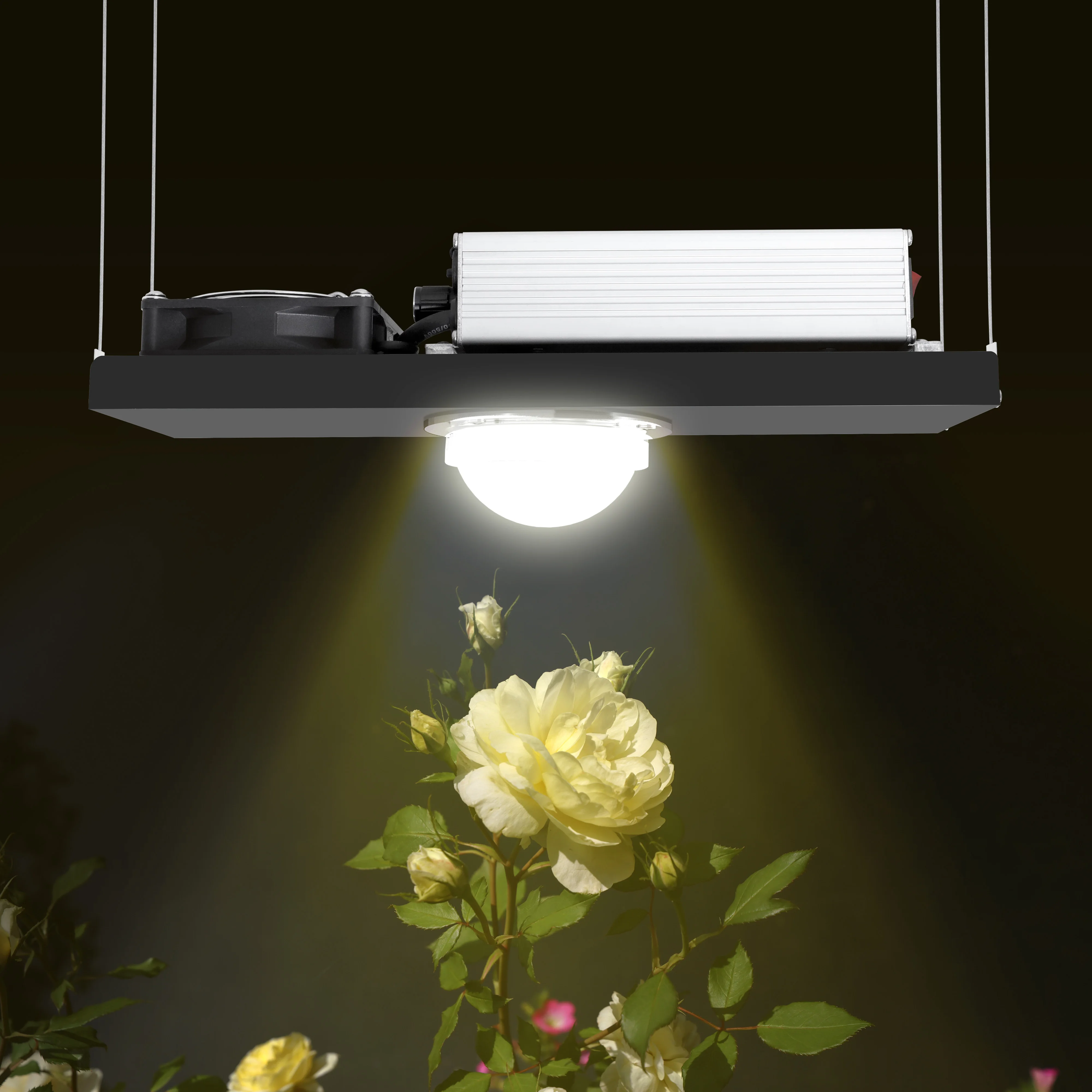 Hydroponice100WLED Grow Light Chip Full Spectrum 400-840nm for Indoor Plant Seedling Growing FlowerCOB CXB3590 led grow lights