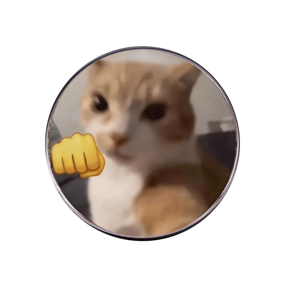 Flat Stainless Steel Glass Brooch Cute Funny Meme Cat  Dog Animal Lapel Pin Creative Pet Expression Badge for Clothing Bags Gift