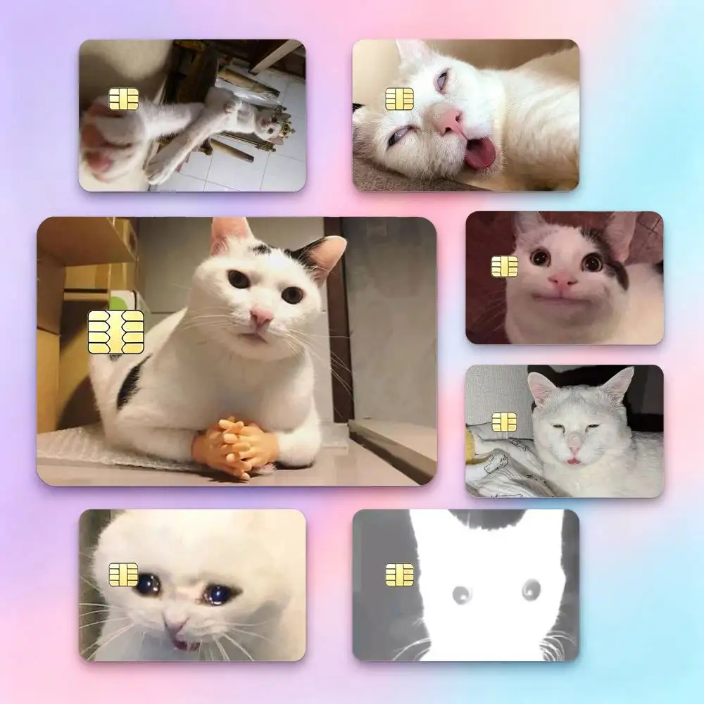 Quirky Cat M-Meme  Credit Card HD Stickers Game Card Decal Small Chip Waterproof Sticker Gift
