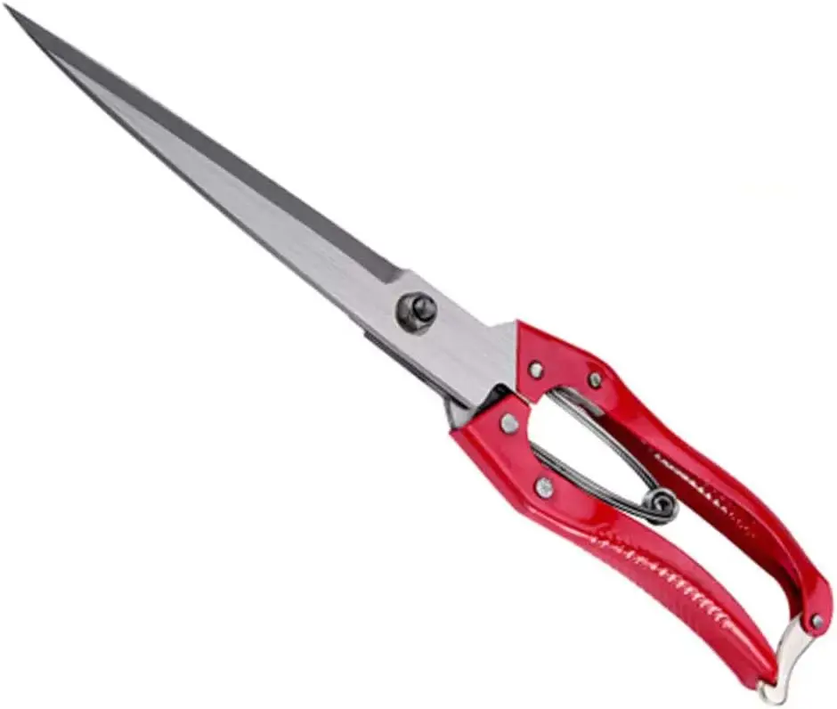 

Manual Wool Shearing Shear Stainless Steel Trimming Scissor Long blades Multifunctional garden shears Scissors with spring Red