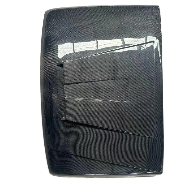 

Tank 300 True Carbon Fiber Front Cover New Special Appearance Parts Supply