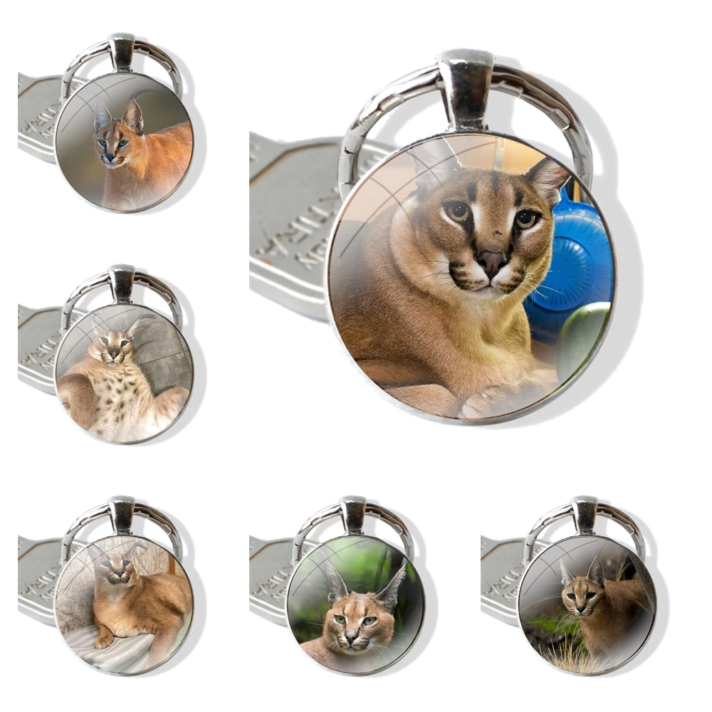 Keychain Handmade Glass Cabochon Key Ring Holder Pendant Key Chains Caracal Cat Floppa